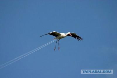 Прикрепленное изображение: post-3-12275223154677.jpg